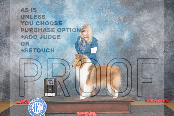 Collie Rough #6 Sun BOV Judge Beth Downey__JP_0607_Sulphur Springs_2024_HR3