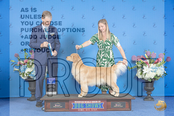 Golden Retriever #28 FRI WB BOW M Judge Wood Wornall__JP_8893_Houston_2024_HR3