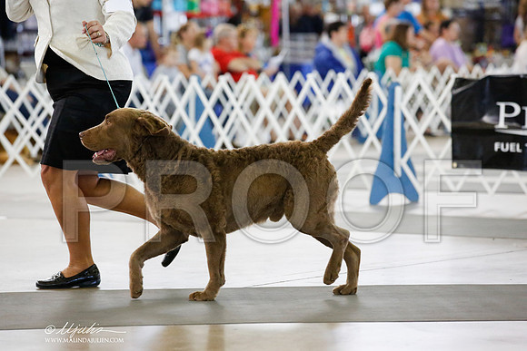 _JN_3044-DallasJul2014-HR3