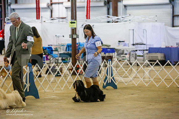 _RH_0718-AlamogordoOct2014-HR3