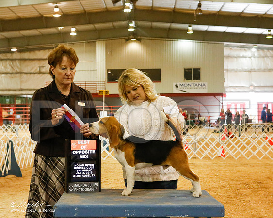 _MJ_5239-2-GlenRoseJan2015-HR3