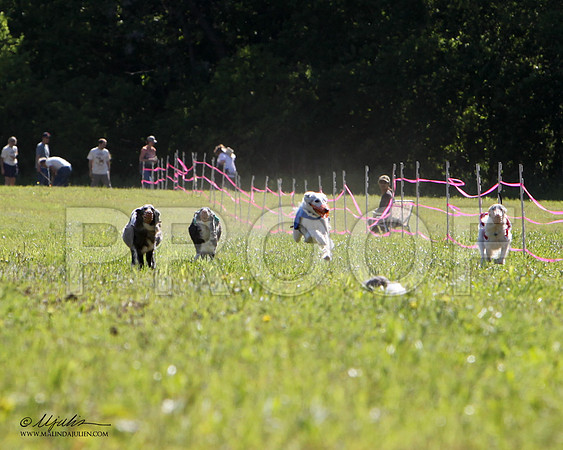 2SR-IMG_5982HR