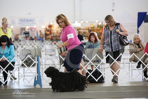 _JJ_3133-DallasJul2014-HR3