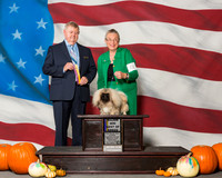 Pekingese #6 Sat BOB MAJ Skinner Colleen Roma Skinner Judge Mr Richard H Mullen