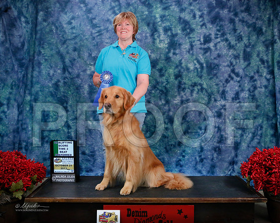 T2BPref-8859-WFOct2013-HR