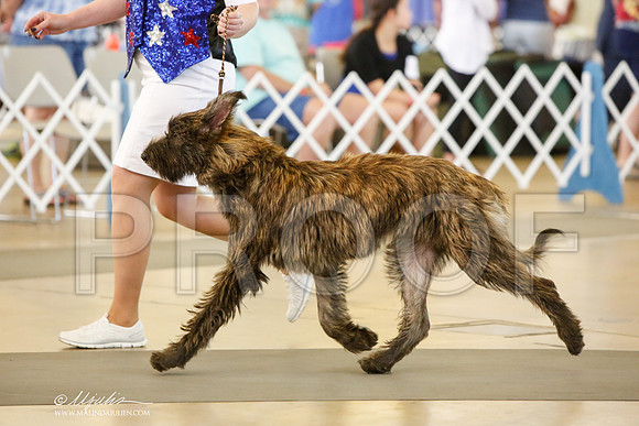 _JJ_7427-DallasJul2014-HR3