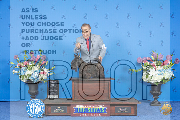 Scottish Terrier #5 FRI BOW M Judge Debbie Freeman__JP_9219_Houston_2024_HR3