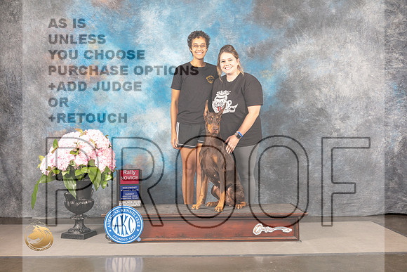 Doberman Pinscher #118 SUN Rally Judge?_MJ_8000_Houston_2022_HR3