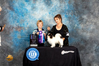 Papillon #23 Fri BOWNCh Judge Sharon Masnick