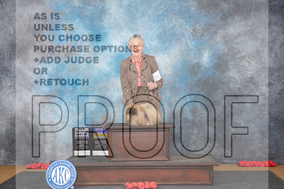 Pekeginese #6 BOBBOWWB NCH Sun Judge Pat Trotter__JP_0664_Sulphur Springs_2024_HR3