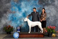 Dogo Argento #12 Fri G4 Judge Wendy G Willhauck