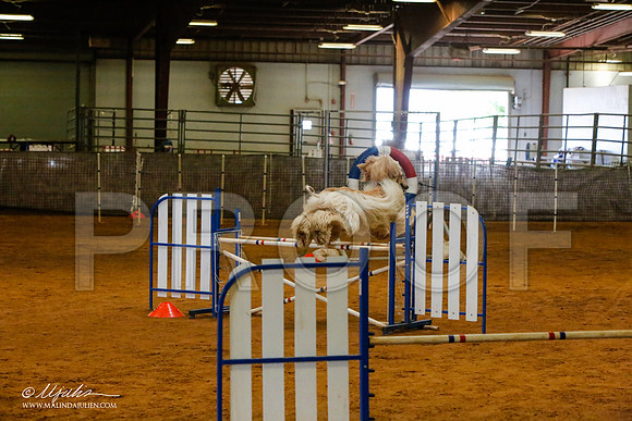 _MJ_2271-AfgBeltonOct2014-HR3