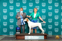 Pointer #923 Sat AG1 Judge Stan Matsumoto