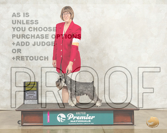 Miniature Schnauzer #? Fri G4 Judge Diana Brumbaugh__MJ_7892_Premier_2022_HR3