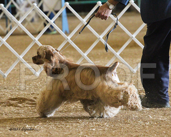 CKRAscob-0575