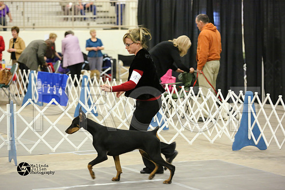 dobe-4880-MidFeb14-HR