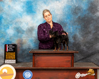 Russian Toy #9 Sat BOSWD Judge Donnelle Richards