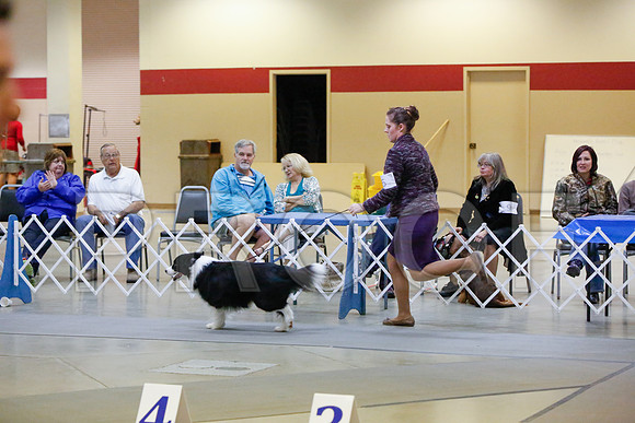 _JJ_5247-AmarilloSept2014-HR3