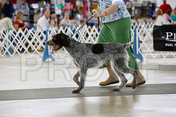_JN_3148-DallasJul2014-HR3