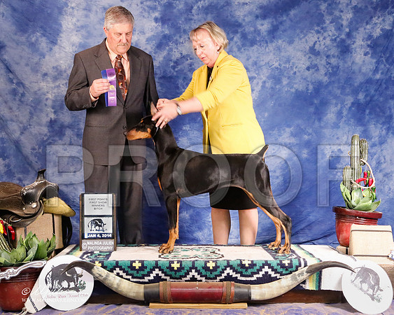 Dobe-2064-GRJan2014-HR