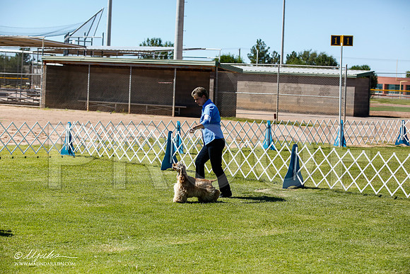 _JN_6762-AlamogordoOct2014-HR3