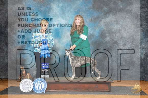 Whippet #14 Sat G1 Judge Karen Hynek__JP_8117_MARSHALL_2024_HR3