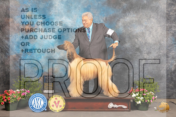 Afghan Hound #14 WBCh Judge Debra Thornton_MJ_0005_SA_2022_HR3