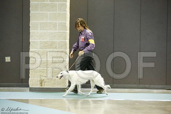 _J3L7592-BeltSep2014-HR