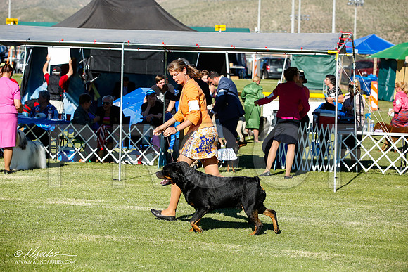 _JN_7694-AlamogordoOct2014-HR3