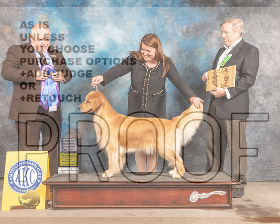 Golden Retriever #10 Fri RWB Judge Gordon Hayburn-MMJ_7452-FW2022-HR3