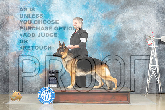 German Shepherd Dog #5 Sun OHG1 Judge Fred Bassett_MJ_5267_Amarillo_2022_HR3