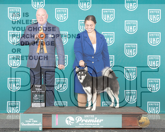 Alaskan Klee Kai Thur BOBT10 Judge Rick Gann_JP_3083e_Premier_2024-HR3