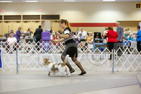 _JN_9612-AmarilloSept2014-HR3