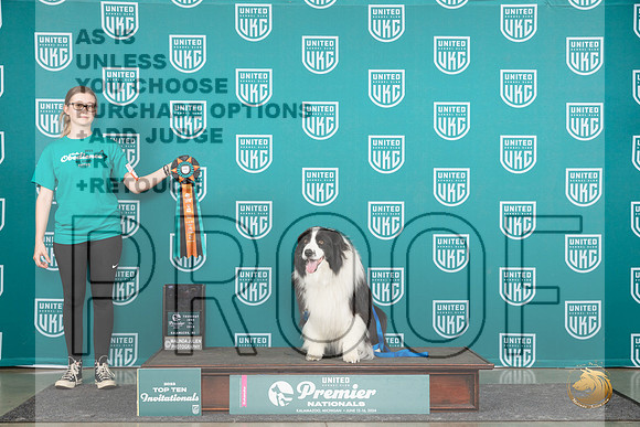 Border Collie #270 Thur Top10Jr 3rd Judge Susan Knowles__JP_1216_Premier_2024_HR3