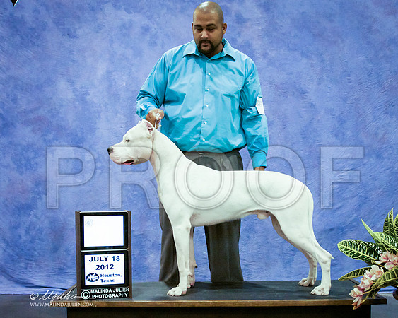 IMG_3754 PROOF
