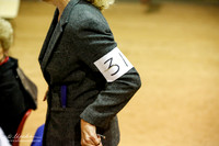 Collie Ring Fri Rough 9-12 Puppy Dogs