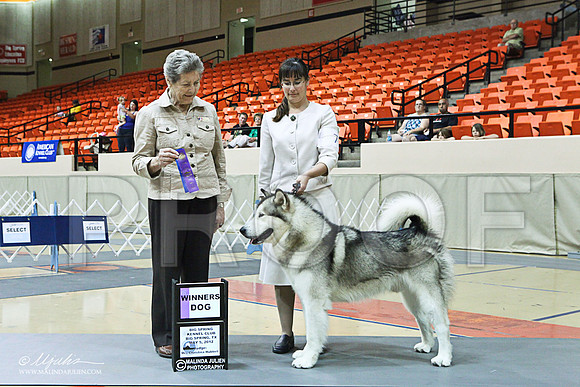 win photo-7545LR