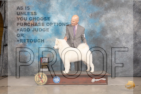 Samoyed #12 Fri BOS Judge Del RichardsMMJ_2958_Mdlnd2022_HR3