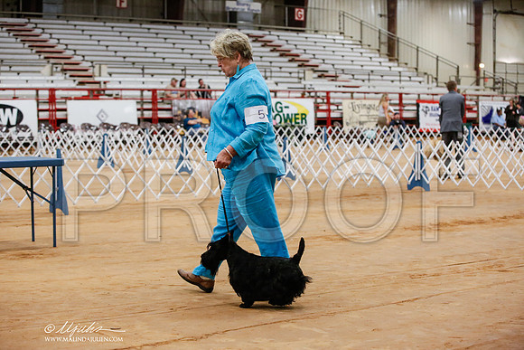 _JJ_6473-TxArJun2014-HR3