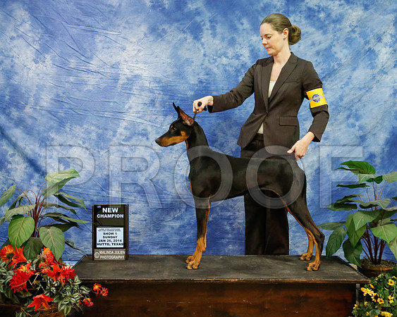 dobe-6857-HtoJan14-HR