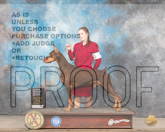 Doberman Pinscher #7 Sun OHG4 Judge Linda ClarkMMJ_5816_Mdlnd2022_HR3