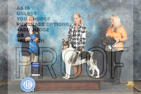 Collie Smooth #7 Sat G1 Judge David Bolus__JP_3698_Lubbock_2024_HR3