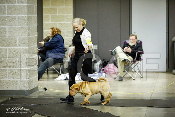 _JJ_5699-BeltonJan2015IABCA-HR3