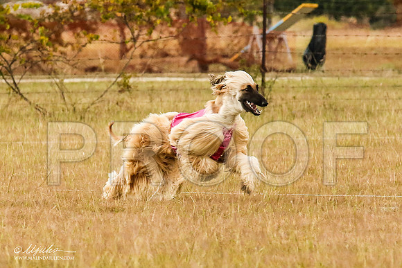 _MJ_5036-AfgBeltonOct2014-HR3
