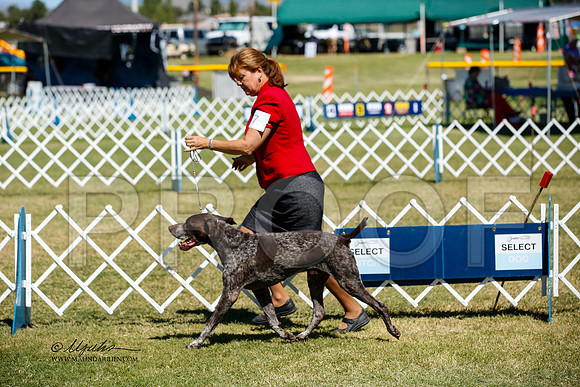_JJ_3689-AlamogordoOct2014-HR3