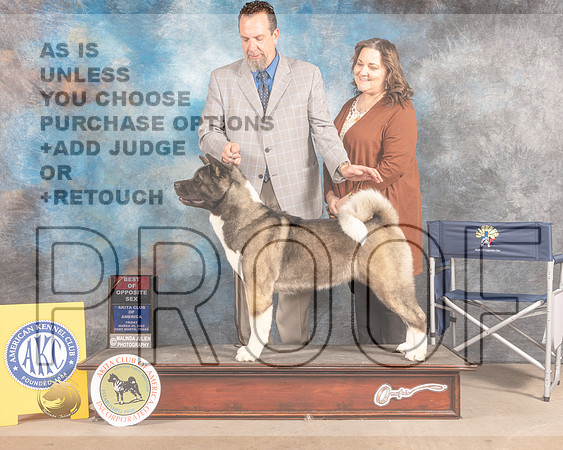 Akita #18 Fri BOS Judge Gloria Kerr-MMJ_7353-FW2022-HR3