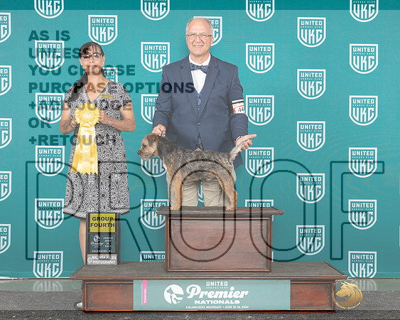 Border Terrier #446 Sun G4 Judge Stephanie Mueller_JP_3269e_Premier_2024-HR3