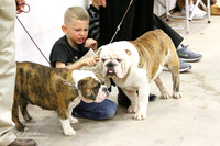 MATCH Bulldog Abilene May 2012