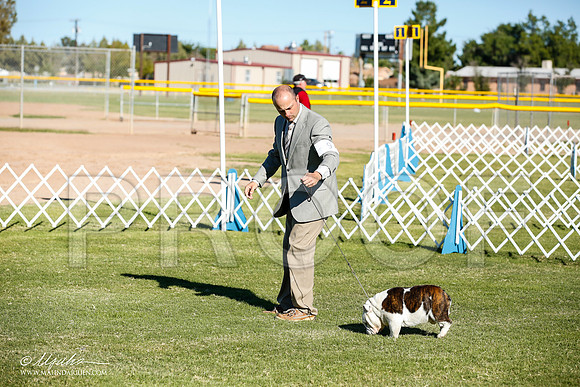 _JN_8320-AlamogordoOct2014-HR3
