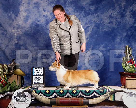 CorgPW-1743-GRJan14-HR